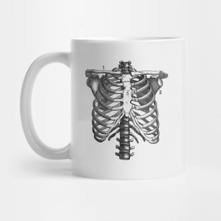 Shoulder and Rib Cage Diagram - Vintage Anatomy Mug